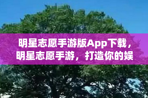 明星志愿手游版App下载，明星志愿手游，打造你的娱乐帝国