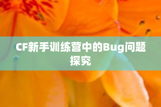 CF新手训练营中的Bug问题探究