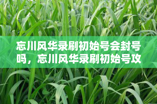 忘川风华录刷初始号会封号吗，忘川风华录刷初始号攻略，打造理想账号的秘诀