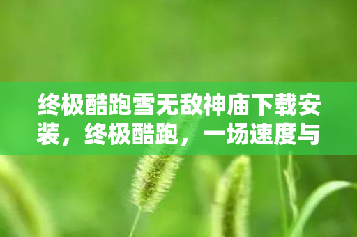 终极酷跑雪无敌神庙下载安装，终极酷跑，一场速度与激情的虚拟盛宴