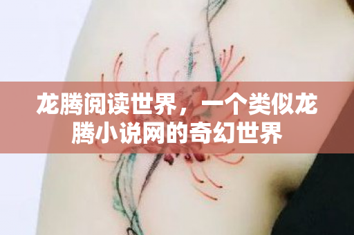 龙腾阅读世界，一个类似龙腾小说网的奇幻世界