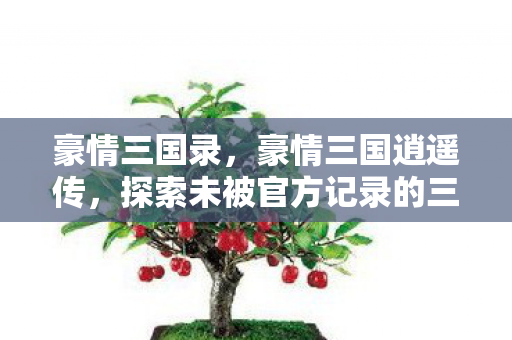 豪情三国录，豪情三国逍遥传，探索未被官方记录的三国传奇