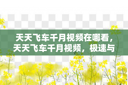 天天飞车千月视频在哪看，天天飞车千月视频，极速与激情的碰撞