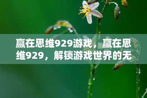 赢在思维929游戏，赢在思维929，解锁游戏世界的无限可能