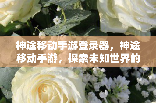 神途移动手游登录器，神途移动手游，探索未知世界的奇妙之旅