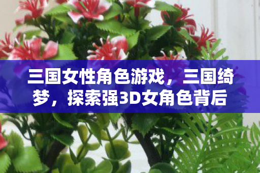 三国女性角色游戏，三国绮梦，探索强3D女角色背后的游戏魅力