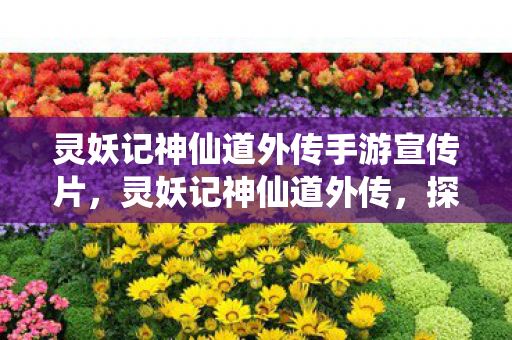 灵妖记神仙道外传手游宣传片，灵妖记神仙道外传，探寻未知的神话世界