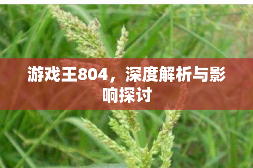 游戏王804，深度解析与影响探讨