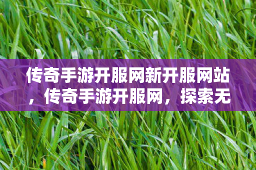 传奇手游开服网新开服网站，传奇手游开服网，探索无限可能的经典游戏世界