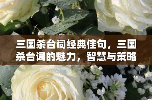 三国杀台词经典佳句，三国杀台词的魅力，智慧与策略的碰撞