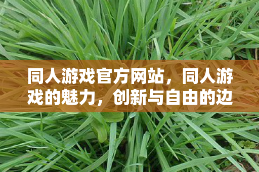 同人游戏官方网站，同人游戏的魅力，创新与自由的边界