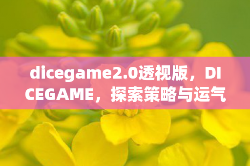 dicegame2.0透视版，DICEGAME，探索策略与运气的奇妙世界