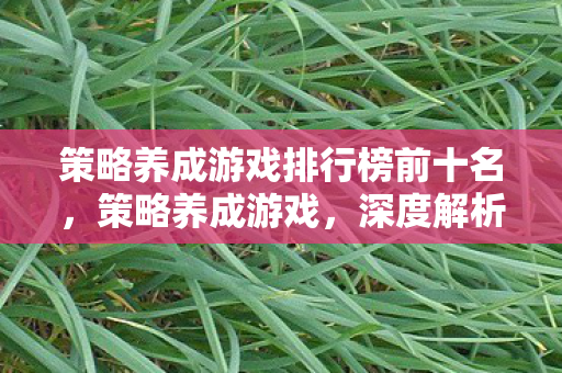 策略养成游戏排行榜前十名，策略养成游戏，深度解析与策略养成心得