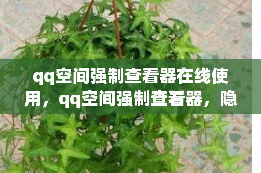 qq空间强制查看器在线使用，qq空间强制查看器，隐私与安全的双刃剑