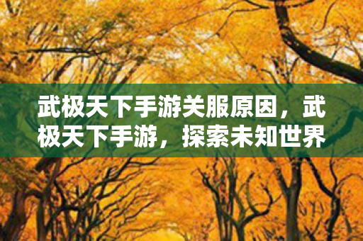 武极天下手游关服原因，武极天下手游，探索未知世界的奇幻之旅