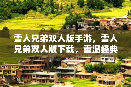 雪人兄弟双人版手游，雪人兄弟双人版下载，重温经典，共享欢乐