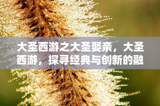 大圣西游之大圣娶亲，大圣西游，探寻经典与创新的融合之旅