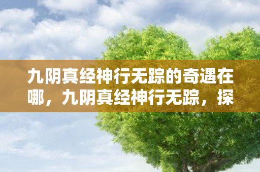 九阴真经神行无踪的奇遇在哪，九阴真经神行无踪，探索武侠世界的神秘步伐