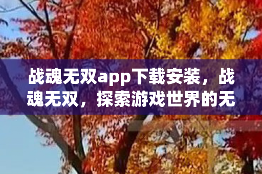 战魂无双app下载安装，战魂无双，探索游戏世界的无尽可能