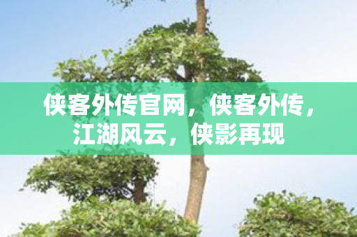 侠客外传官网，侠客外传，江湖风云，侠影再现