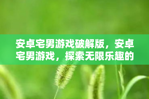 安卓宅男游戏破解版，安卓宅男游戏，探索无限乐趣的掌上世界