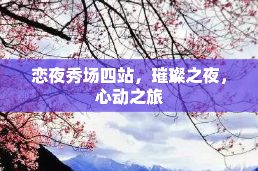 恋夜秀场四站，璀璨之夜，心动之旅