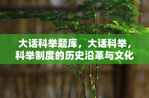 大话科举题库，大话科举，科举制度的历史沿革与文化影响