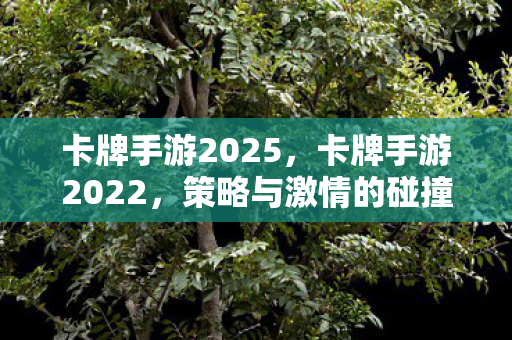 卡牌手游2025，卡牌手游2022，策略与激情的碰撞
