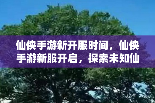 仙侠手游新开服时间，仙侠手游新服开启，探索未知仙境的奇妙之旅