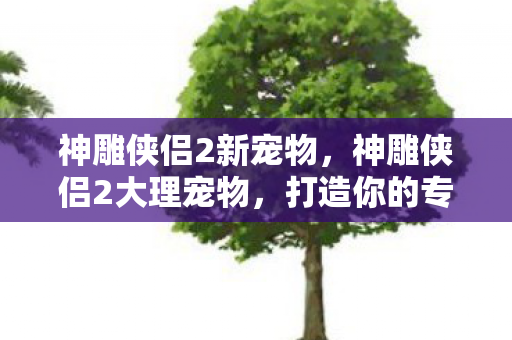神雕侠侣2新宠物，神雕侠侣2大理宠物，打造你的专属战斗伙伴