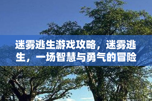 迷雾逃生游戏攻略，迷雾逃生，一场智慧与勇气的冒险