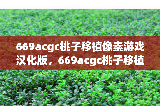 669acgc桃子移植像素游戏汉化版，669acgc桃子移植像素游戏，重温经典，像素世界的奇妙之旅