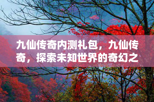 九仙传奇内测礼包，九仙传奇，探索未知世界的奇幻之旅