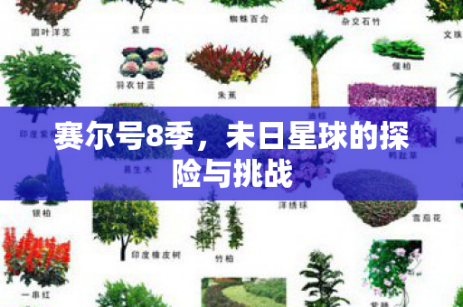 赛尔号8季,未日星球的探险与挑战 赛尔号8季,未日星球的探险与挑战