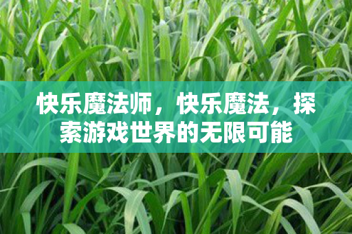 快乐魔法师，快乐魔法，探索游戏世界的无限可能