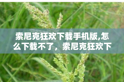 索尼克狂欢下载手机版,怎么下载不了，索尼克狂欢下载手机版，重温经典，随时随地畅享游戏乐趣