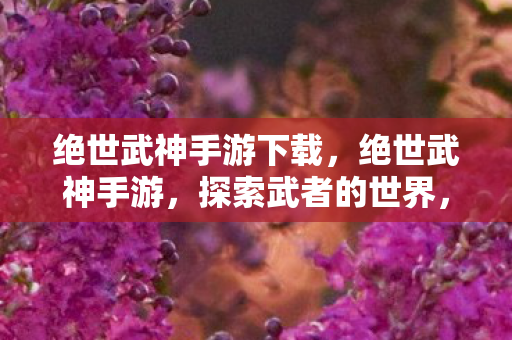 绝世武神手游下载，绝世武神手游，探索武者的世界，体验极致战斗