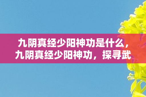 九阴真经少阳神功是什么，九阴真经少阳神功，探寻武学巅峰的奥秘