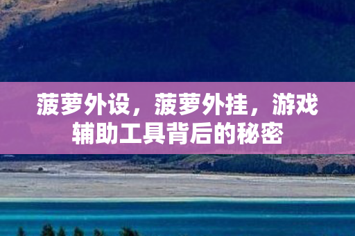 菠萝外设，菠萝外挂，游戏辅助工具背后的秘密