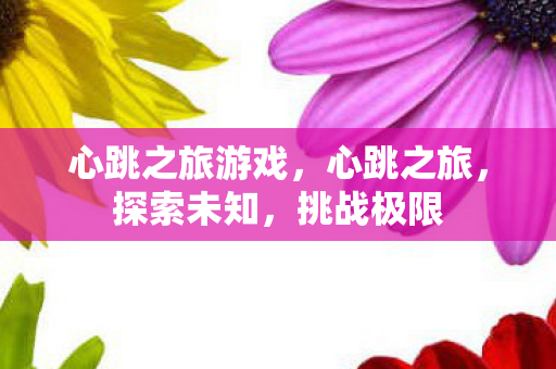心跳之旅游戏，心跳之旅，探索未知，挑战极限