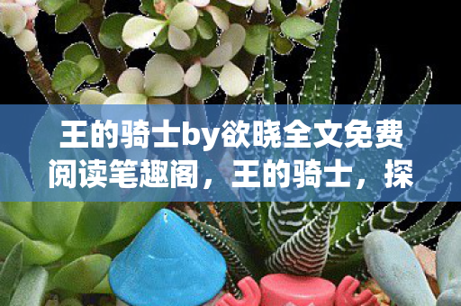 王的骑士by欲晓全文免费阅读笔趣阁，王的骑士，探索正版游戏的魅力与骑士精神