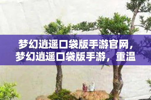 梦幻逍遥口袋版手游官网，梦幻逍遥口袋版手游，重温经典，畅享移动娱乐新体验