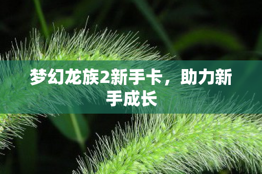 梦幻龙族2新手卡，助力新手成长
