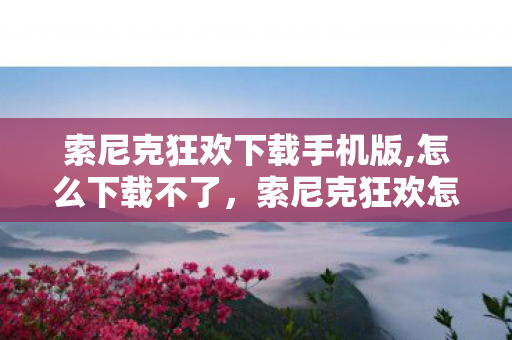 索尼克狂欢下载手机版,怎么下载不了，索尼克狂欢怎么下载手机版