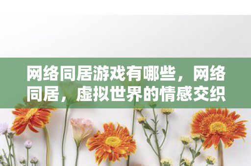 网络同居游戏有哪些，网络同居，虚拟世界的情感交织与社交新体验