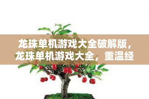 龙珠单机游戏大全破解版，龙珠单机游戏大全，重温经典，畅享冒险