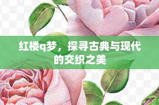 红楼q梦，探寻古典与现代的交织之美