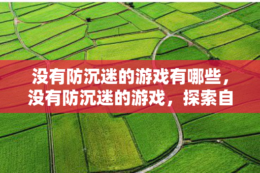 没有防沉迷的游戏有哪些，没有防沉迷的游戏，探索自由度的边界与责任