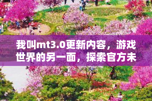 我叫mt3.0更新内容，游戏世界的另一面，探索官方未触及的领地