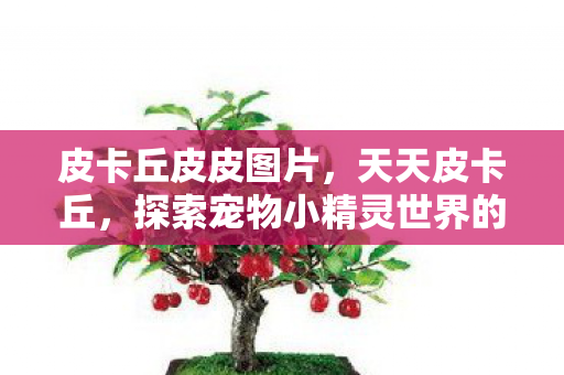 皮卡丘皮皮图片，天天皮卡丘，探索宠物小精灵世界的奇妙之旅